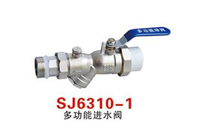 SJ6310-1多功能進(jìn)水閥