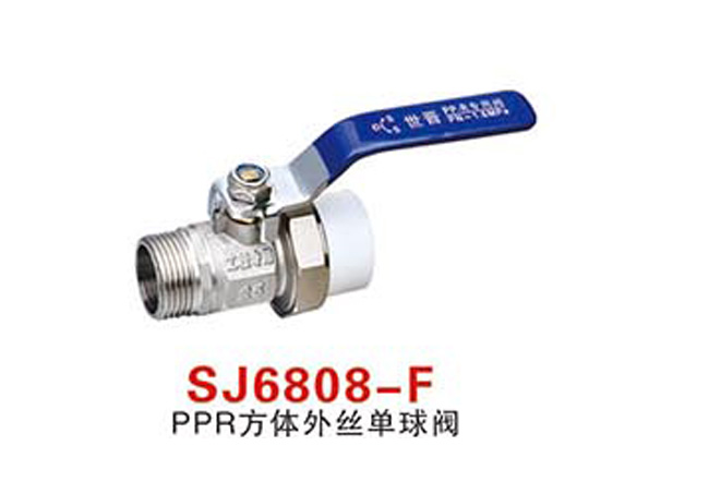 SJ6808-FPPR方體外絲單球閥