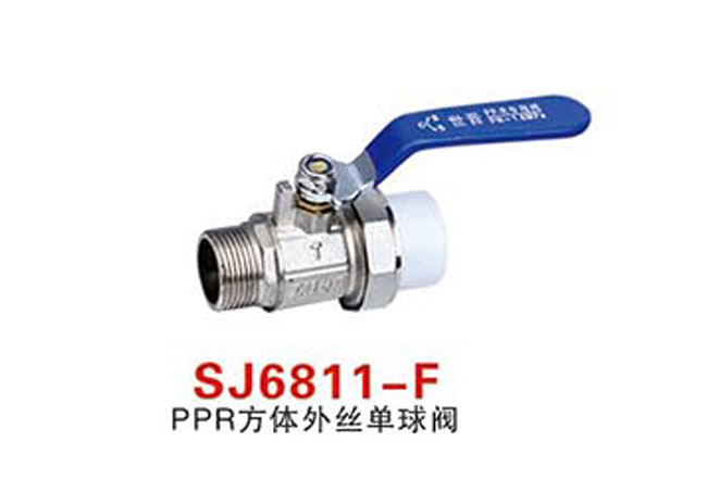 SJ6811-FPPR方體外絲單球閥