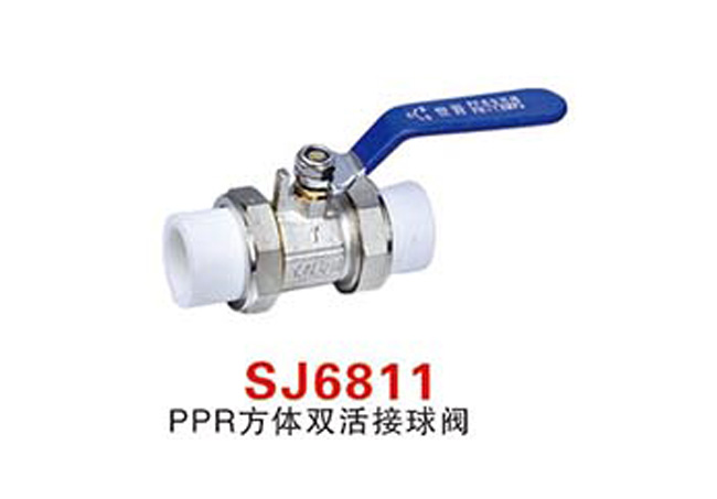 SJ6811PPR方體雙活接球閥